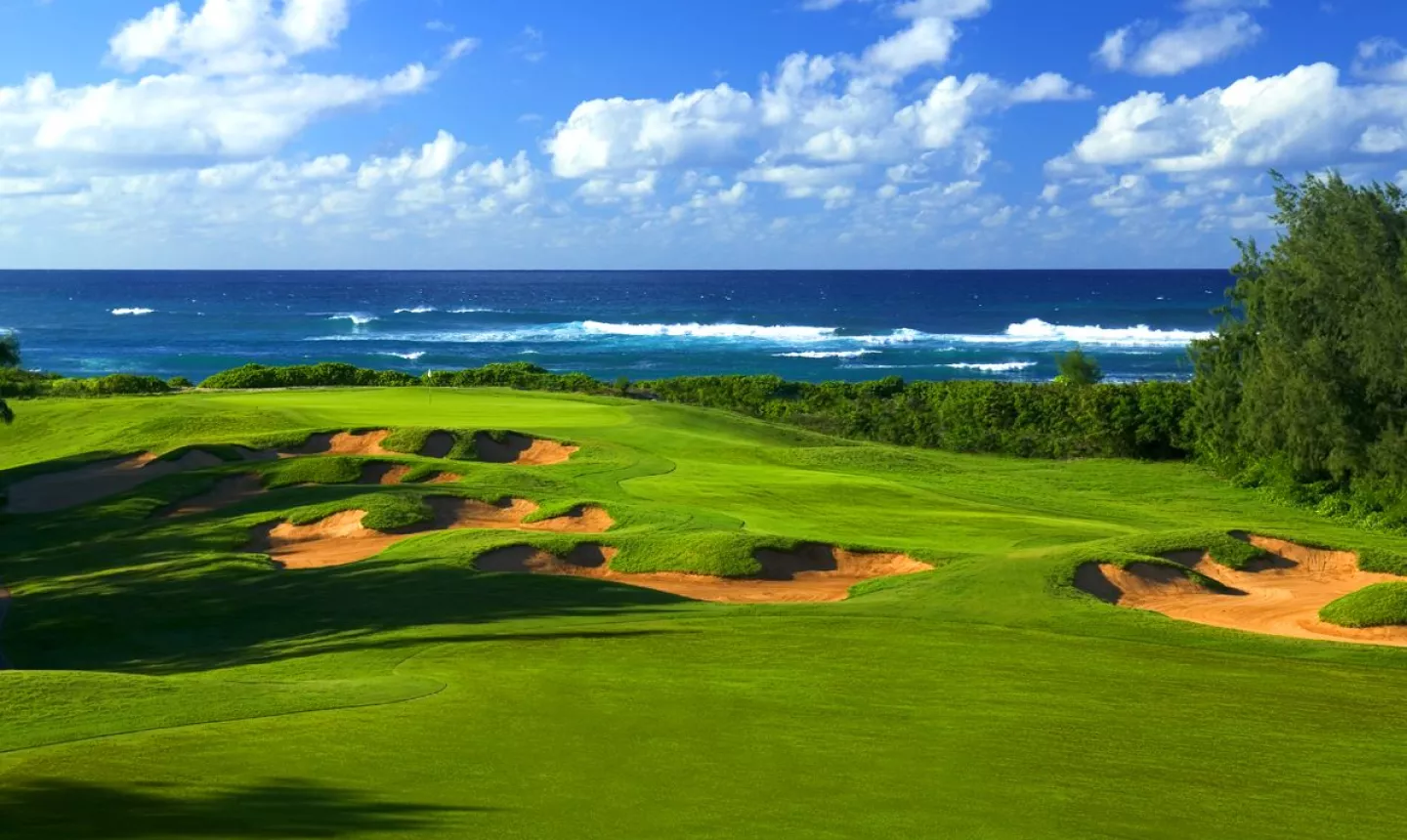 Palmer @ Turtle Bay: Sea view