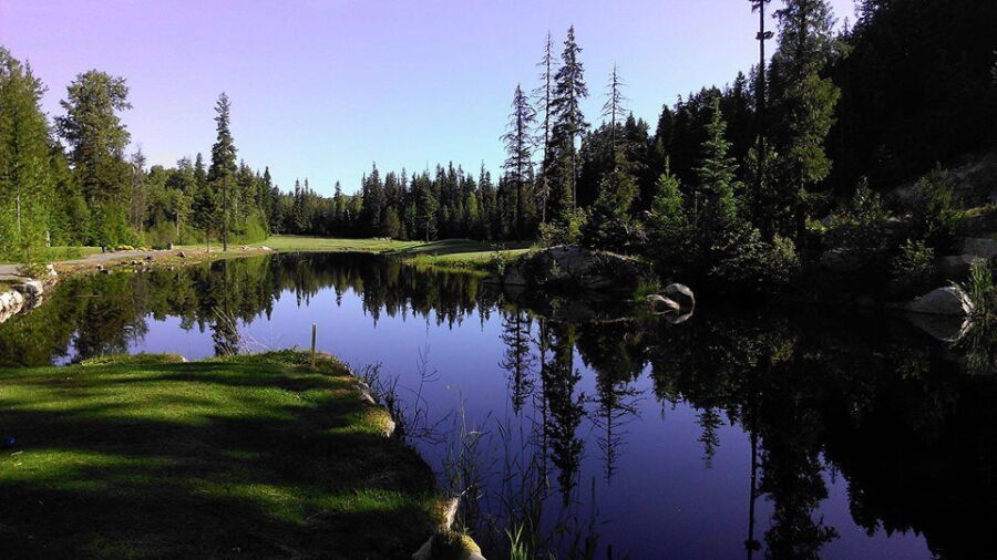 Priest Lake GC: #13
