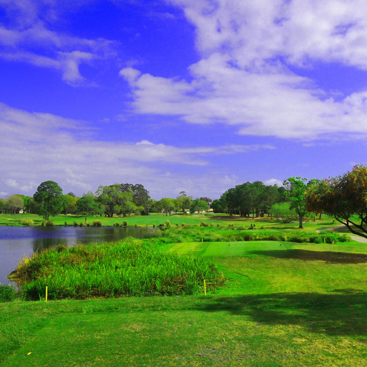 Donald Ross' Belleview Biltmore Golf Club blends tough ...