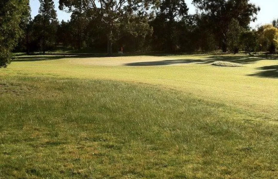 Narrandera GC: #1