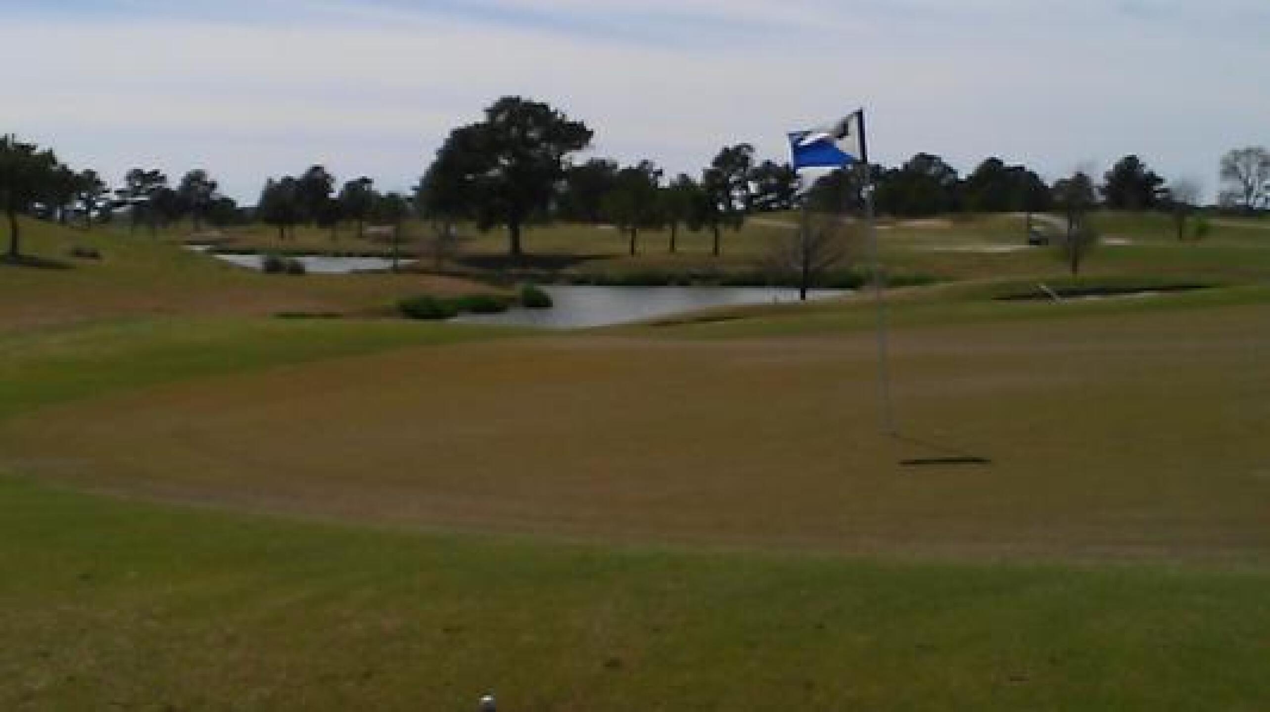 just a little breezy, check out the pin flag! (Photo submitted by roadgolfer on 02/27/2013)