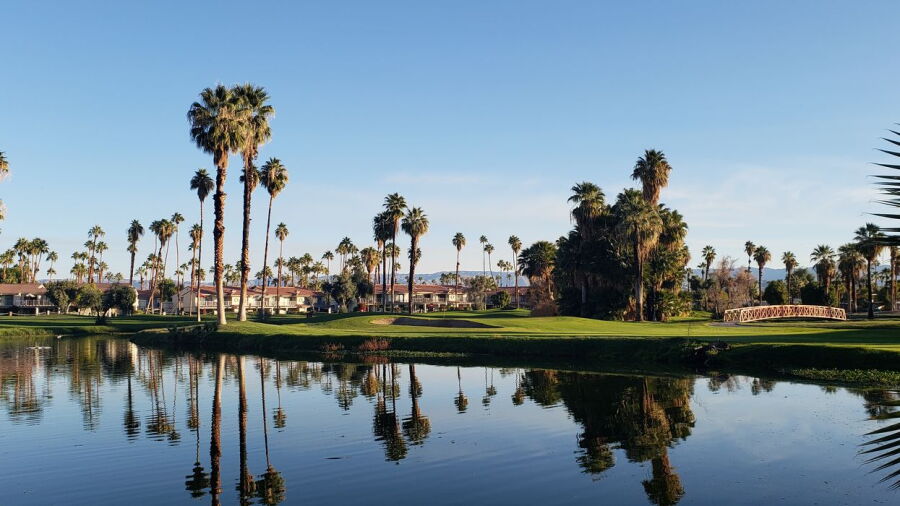 Mesquite GCC