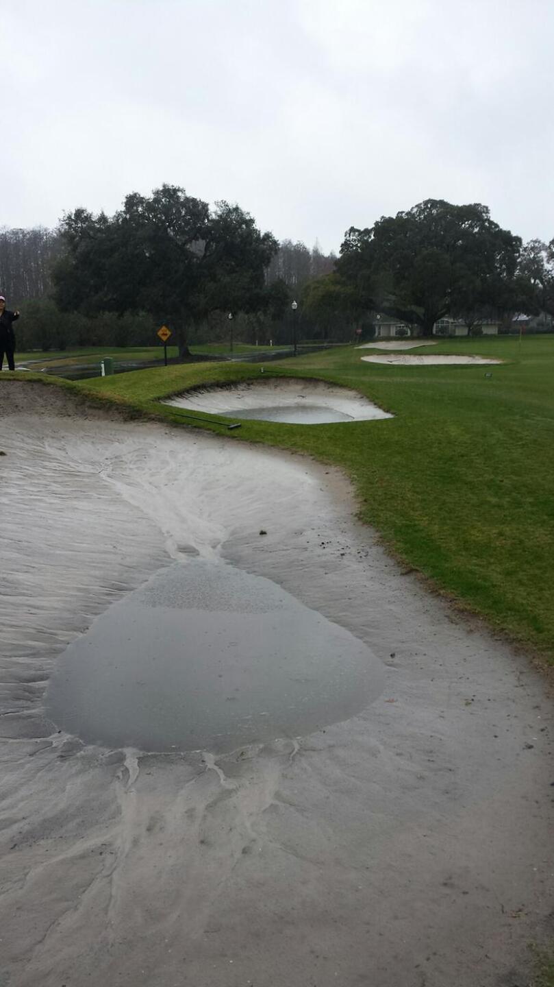 (Photo submitted by u734780166 on 02/06/2016)