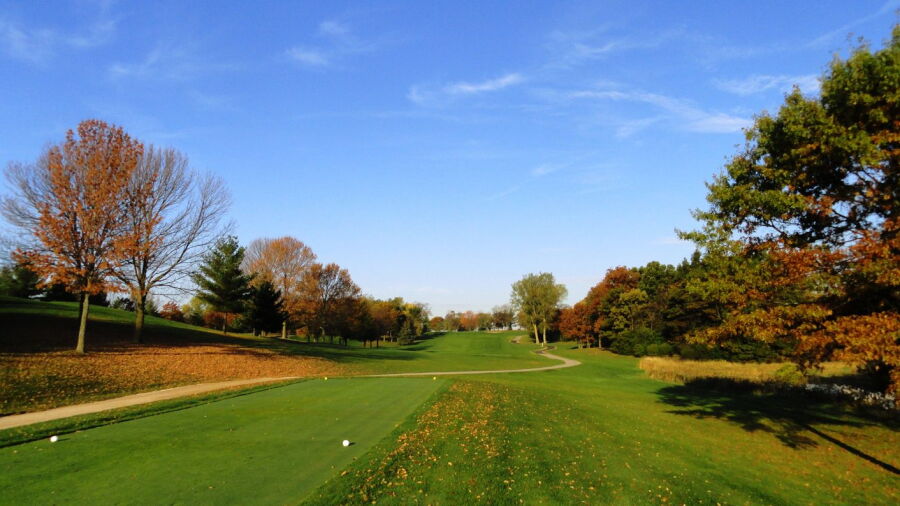 Brighton Dale Links - White Birch: #3