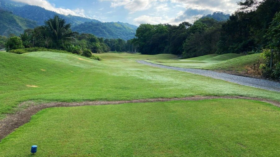 Osa GC: #3