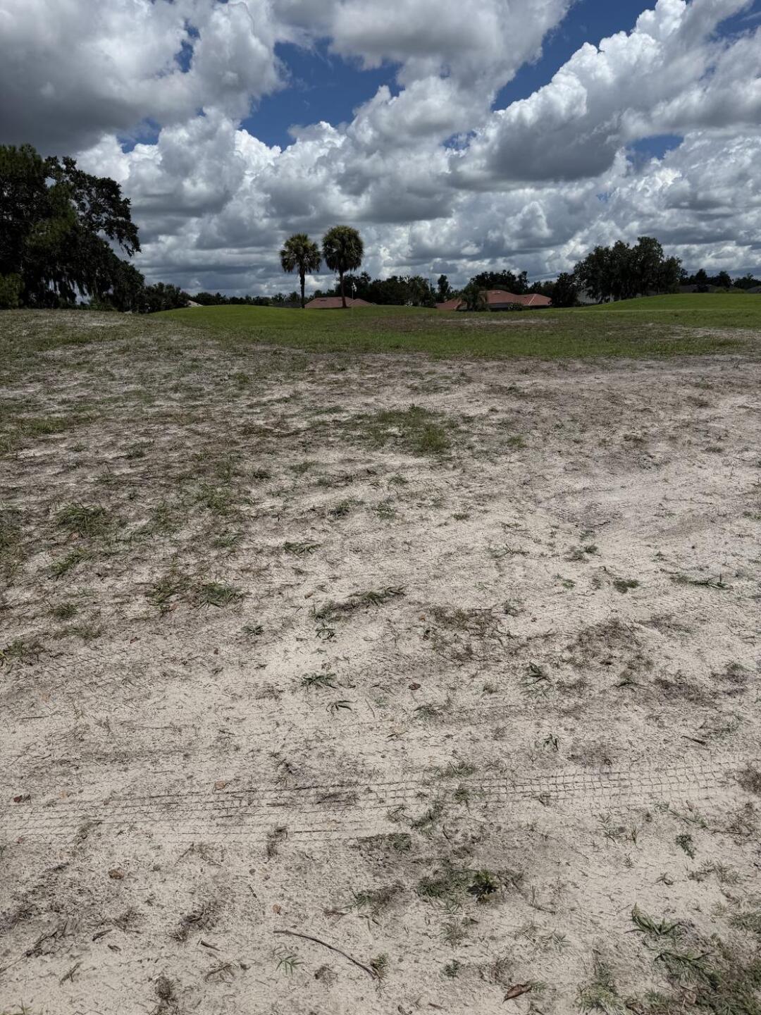 (Photo submitted by u479649397 on 08/14/2025)