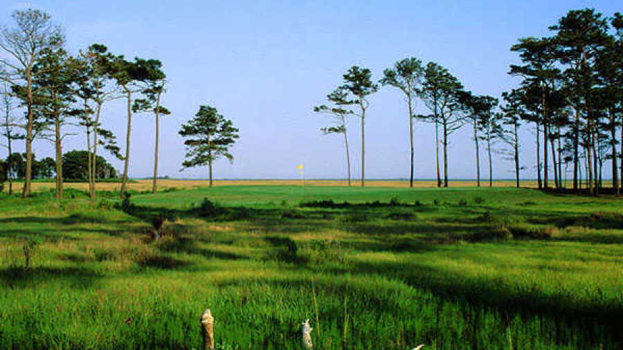 Eagle's Landing: #7