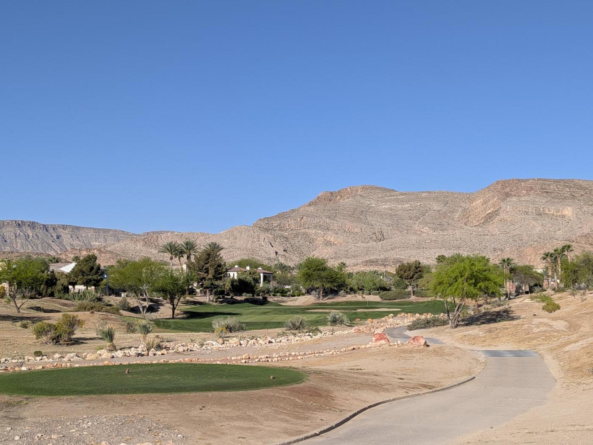 (Photo submitted by u314164367539 on 03/27/2026)