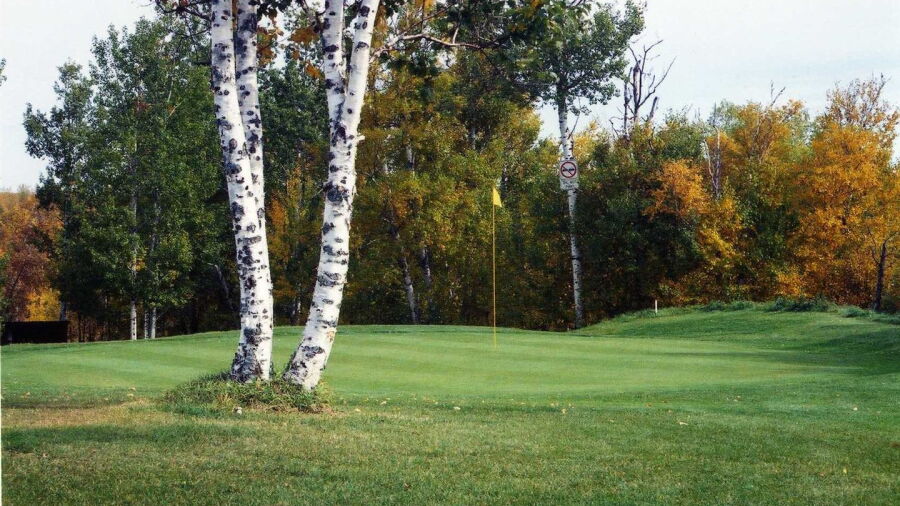 Lee GC: #8