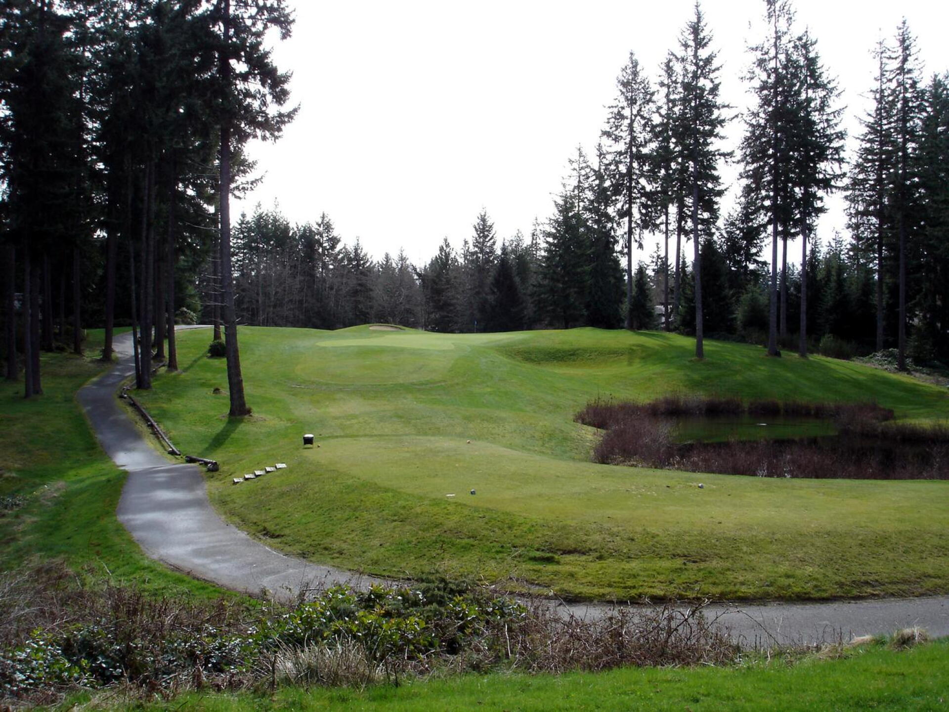 McCormick Woods GC, Hole 7, Par 3, 142 yds (Photo submitted by DYakimec on 06/08/2017)