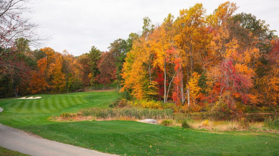 Richter Park GC: #10