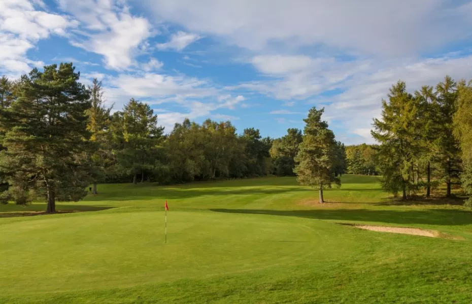 Tilgate Forest GC: #3