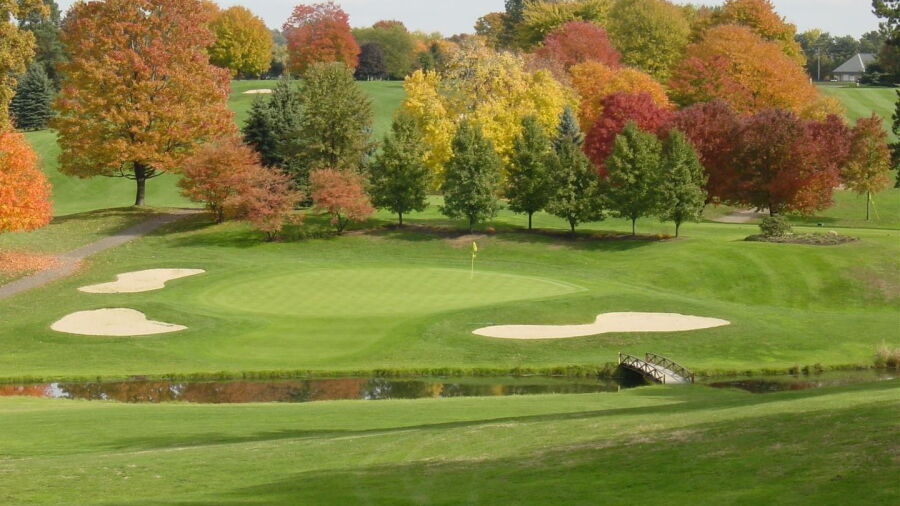 Shady Hollow CC