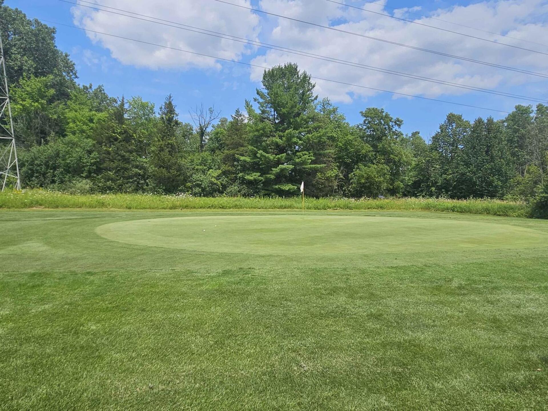 hole 4 green (Photo submitted by u314161622535 on 07/24/2026)