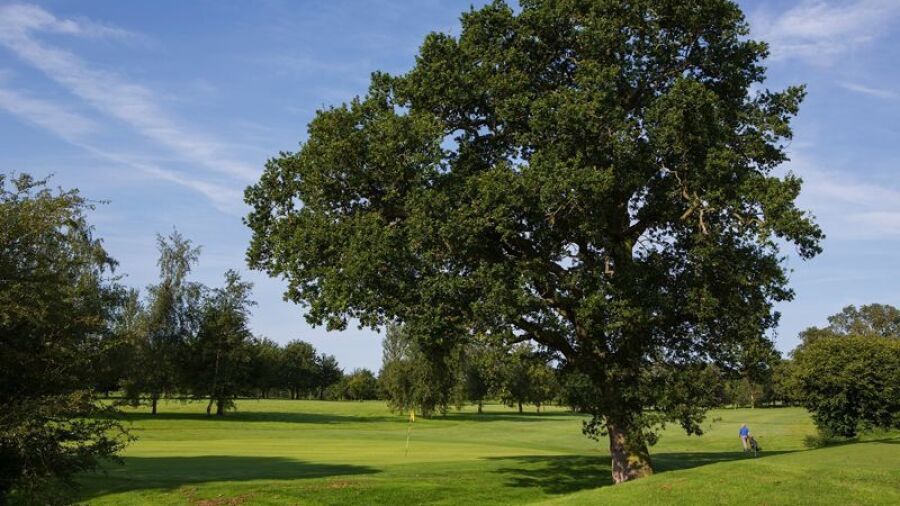 Parkland setting at Clays GC