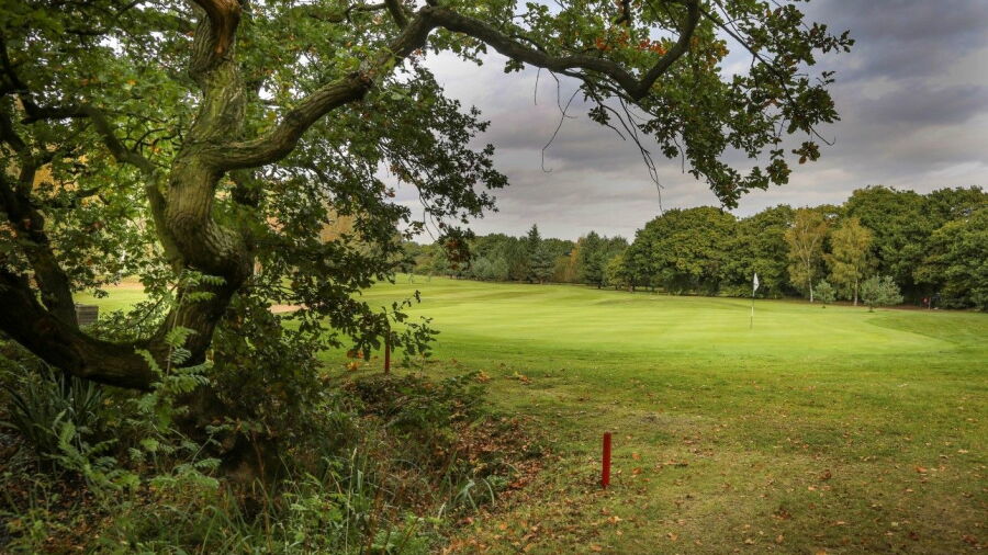 Helsby GC: 9th green