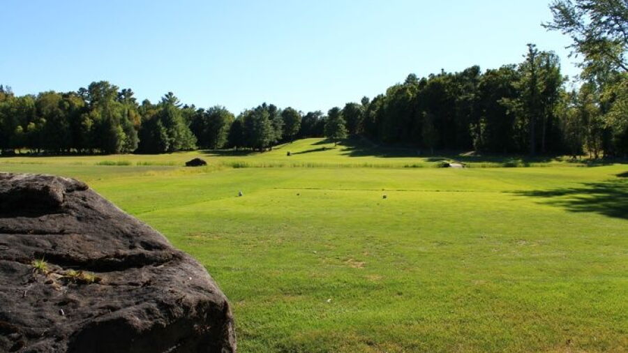 Blue Heron G & CC