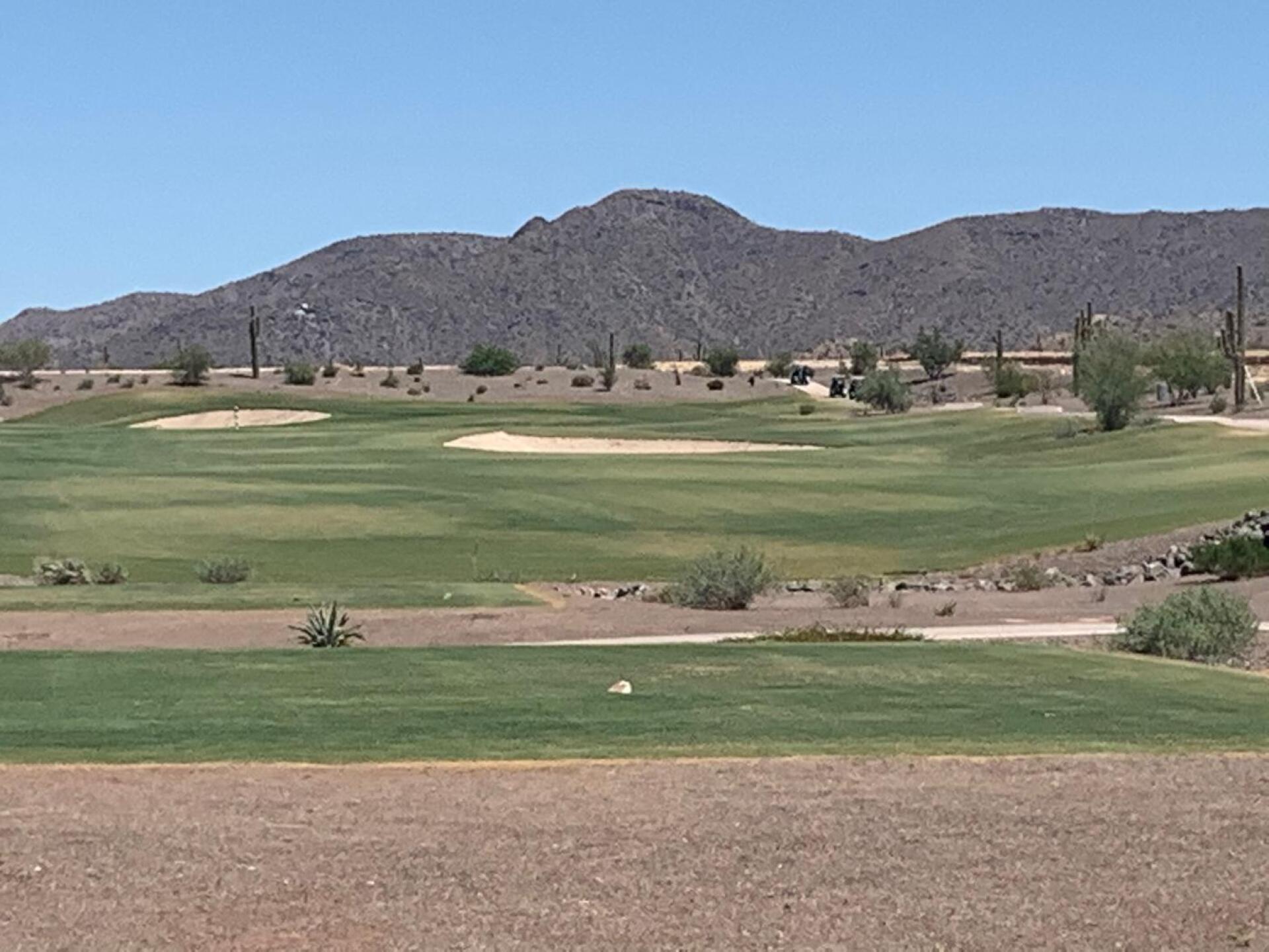 (Photo submitted by VinBrister on 07/25/2020)