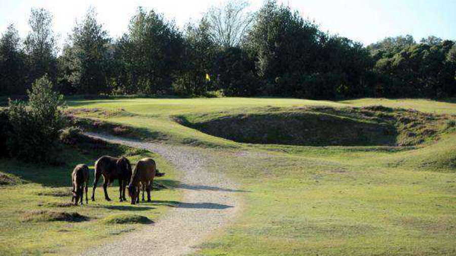 Burley GC: #2