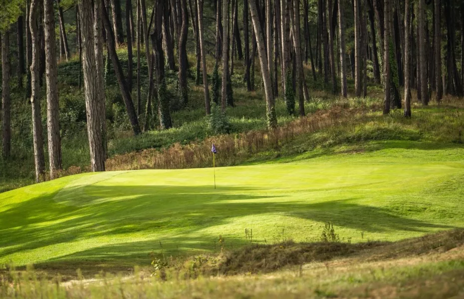 Hardelot GC - The Pines