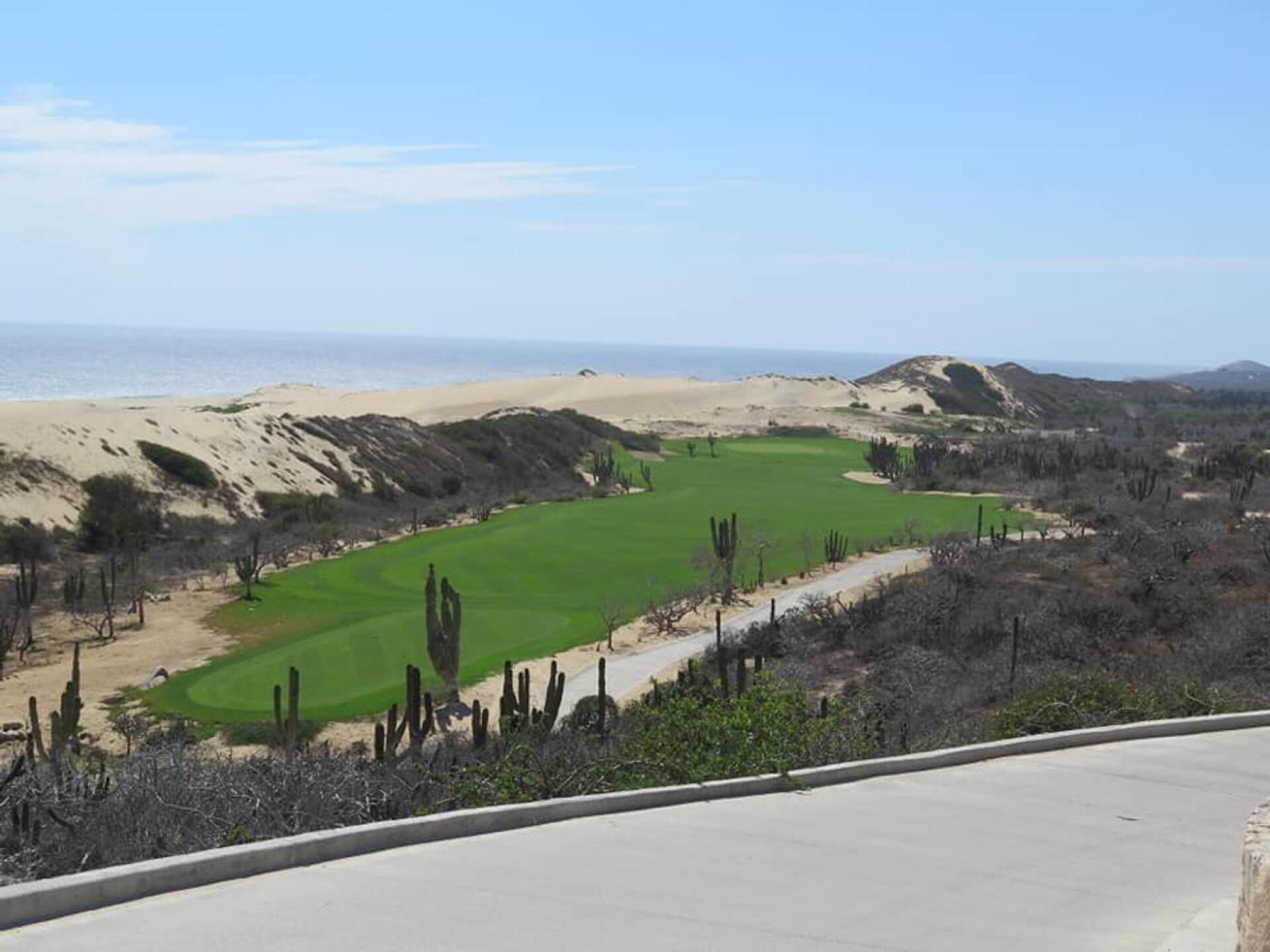 #1 plays into a prevailing ocean wind (Photo submitted by u000005114664 on 06/16/2021)