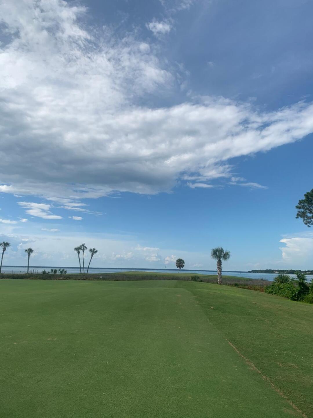 (Photo submitted by u950185714 on 07/21/2020)