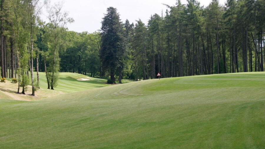 4th green on the Palmerston Course