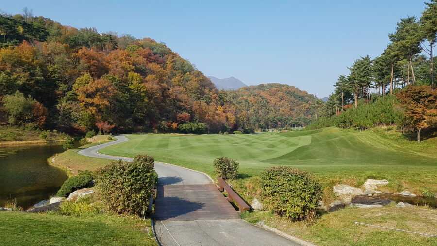 Centerium CC - Scotland
