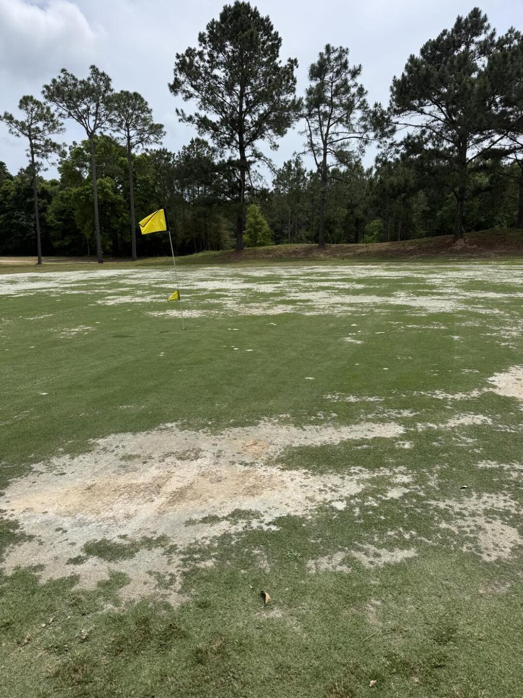 (Photo submitted by Aerobat1950 on 04/25/2025)