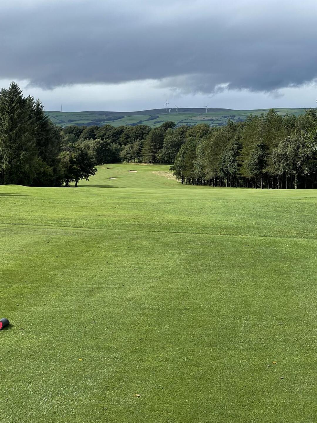 (Photo submitted by u314162005797 on 08/16/2024)