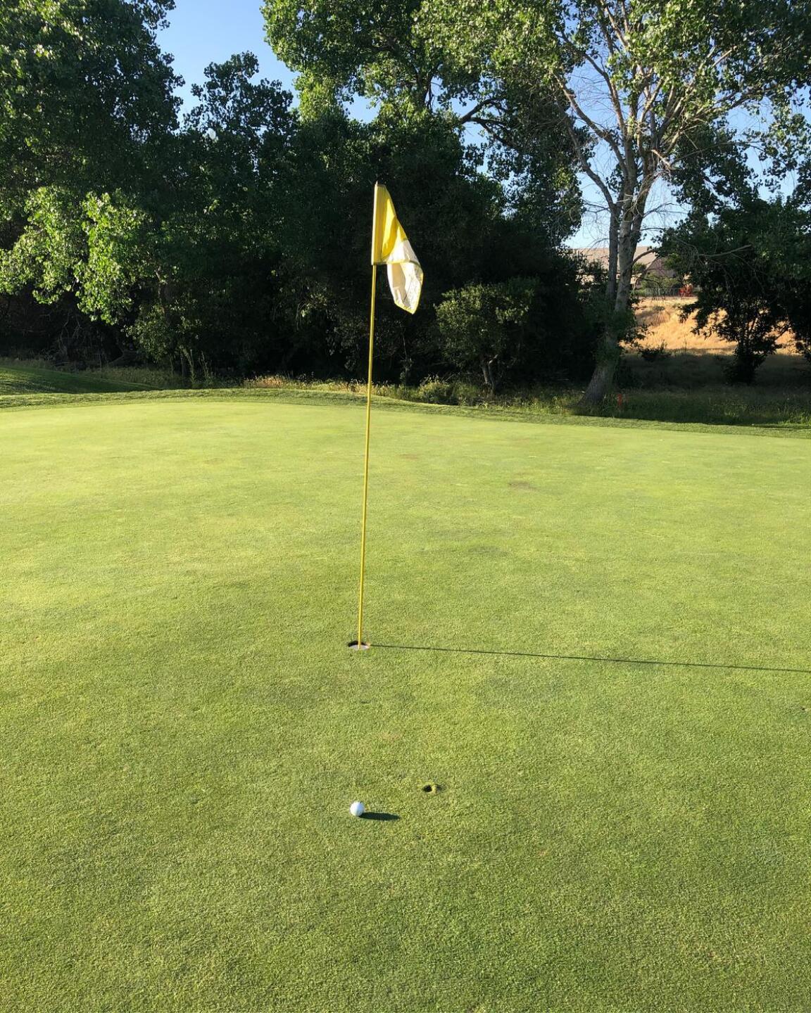 #14...missed the birdie... (Photo submitted by u000003242395 on 05/09/2021)