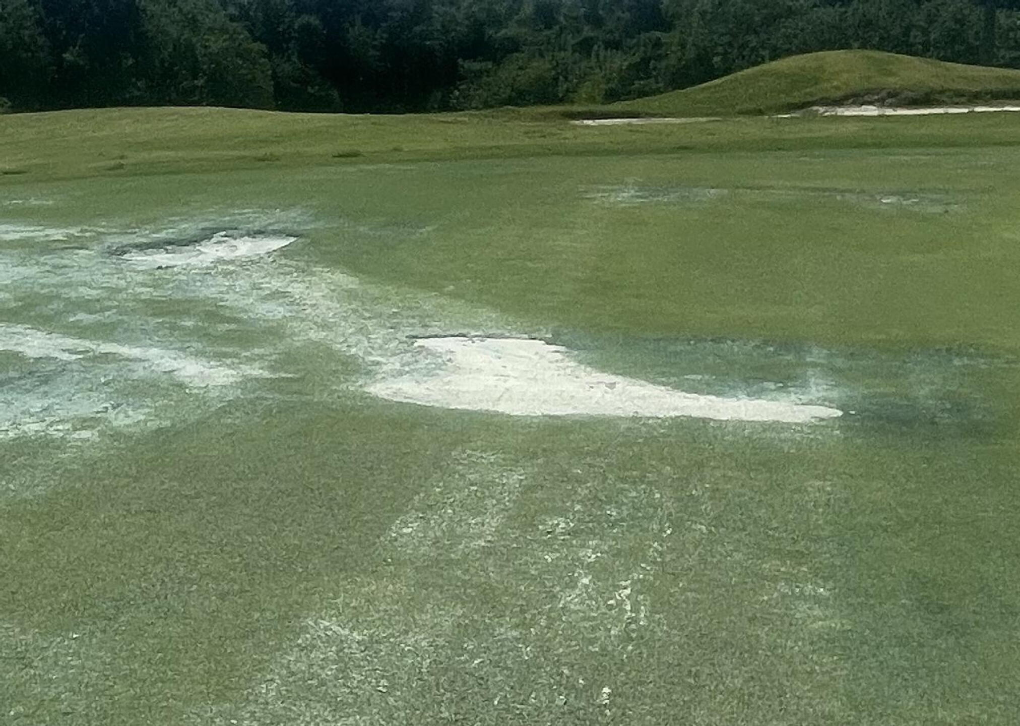 Green Conditions (Photo submitted by 9OmBAqImj44CrR12rp2L on 05/15/2025)