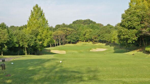 Adonis Ogawa CC: #14