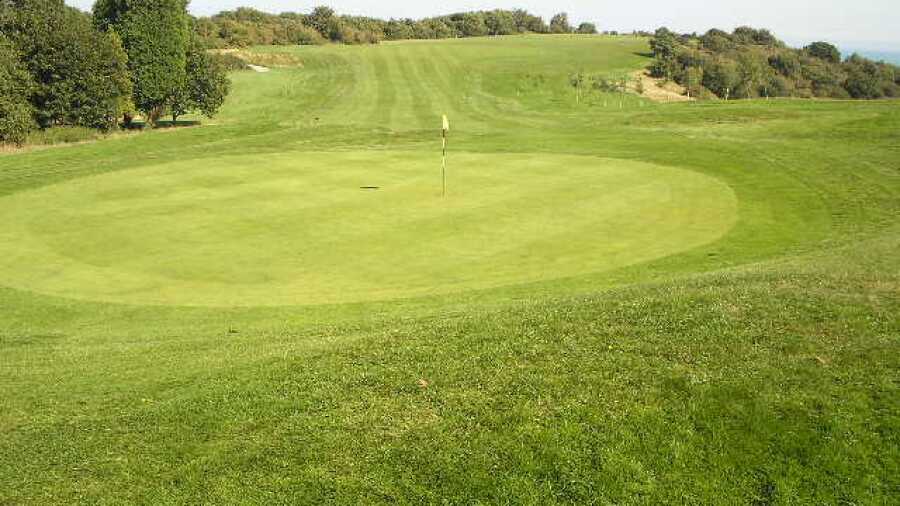Sene Valley GC: #8