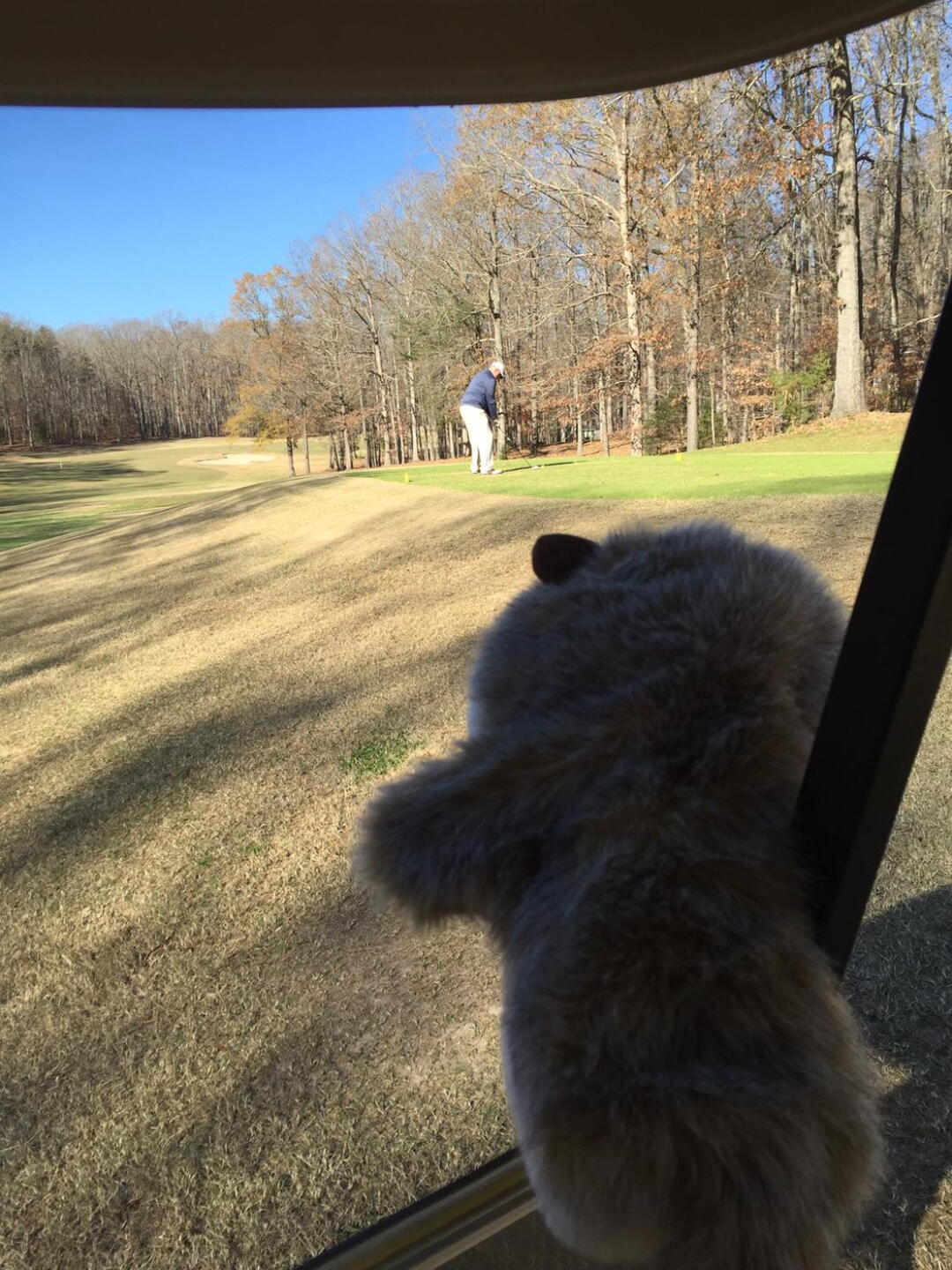 (Photo submitted by Speedblade54 on 11/30/2015)