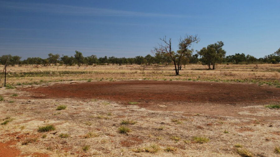 Halls Creek GC: #8