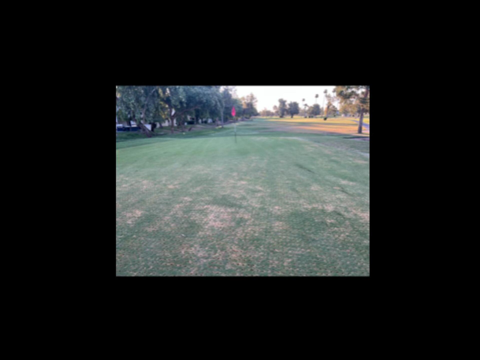 (Photo submitted by realmonte on 06/27/2023)