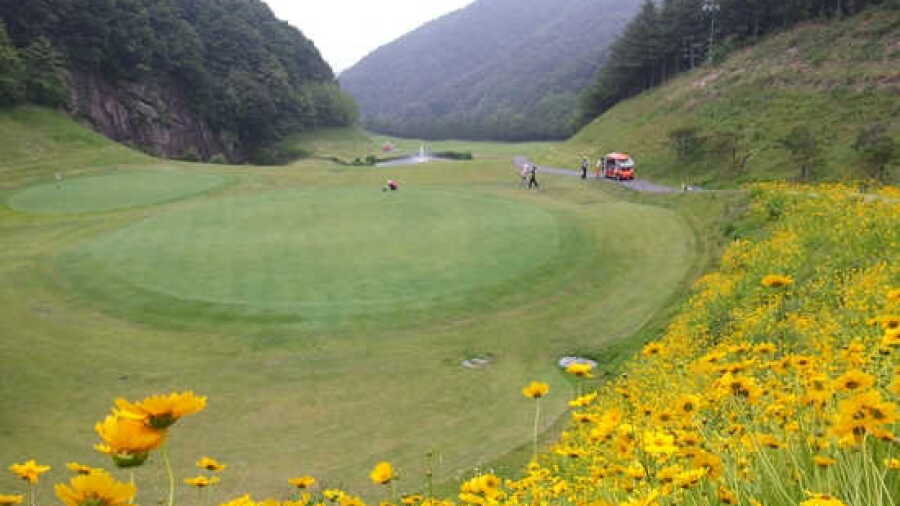 Palgong CC
