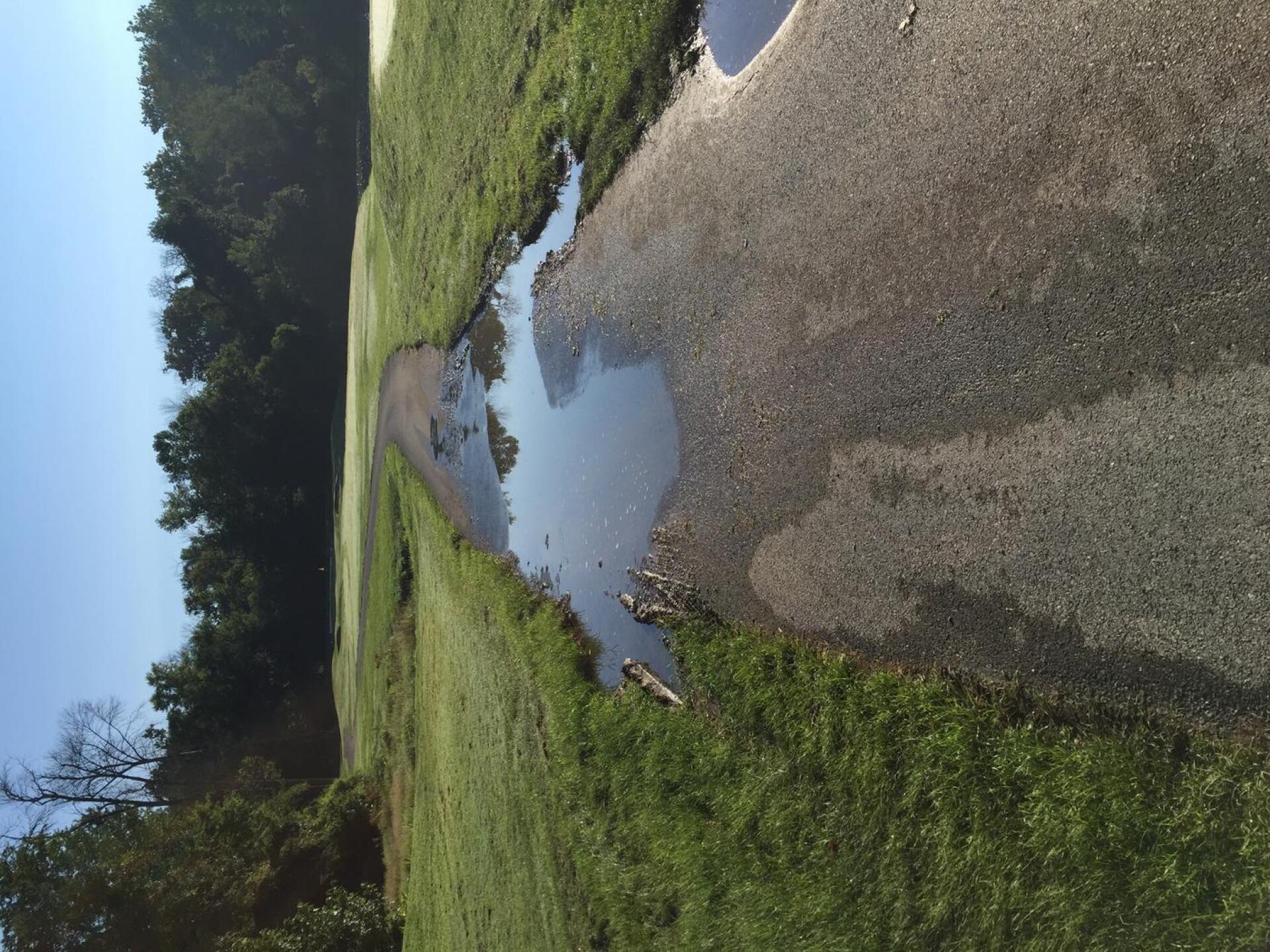 Entire Front 9 was folded this was on the 1st PAR 3 on the front. (Photo submitted by u000006098902 on 08/30/2016)