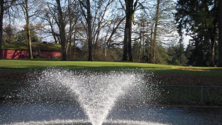 Brookdale GC: #15