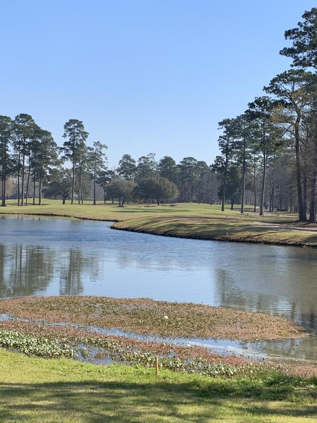 (Photo submitted by u000007331237 on 03/09/2021)