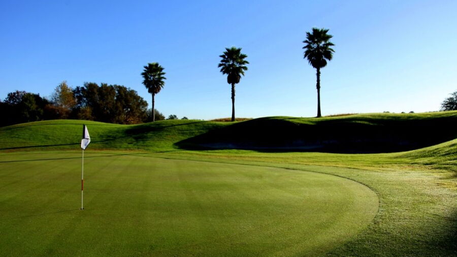 Twisted Oaks GC
