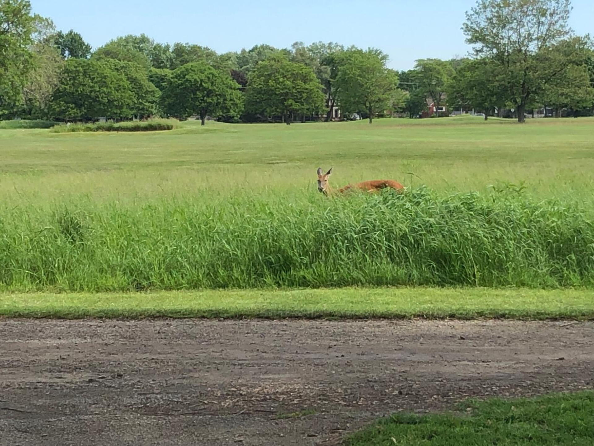 We had a fifth in our group too! (Photo submitted by kwisely on 06/08/2019)