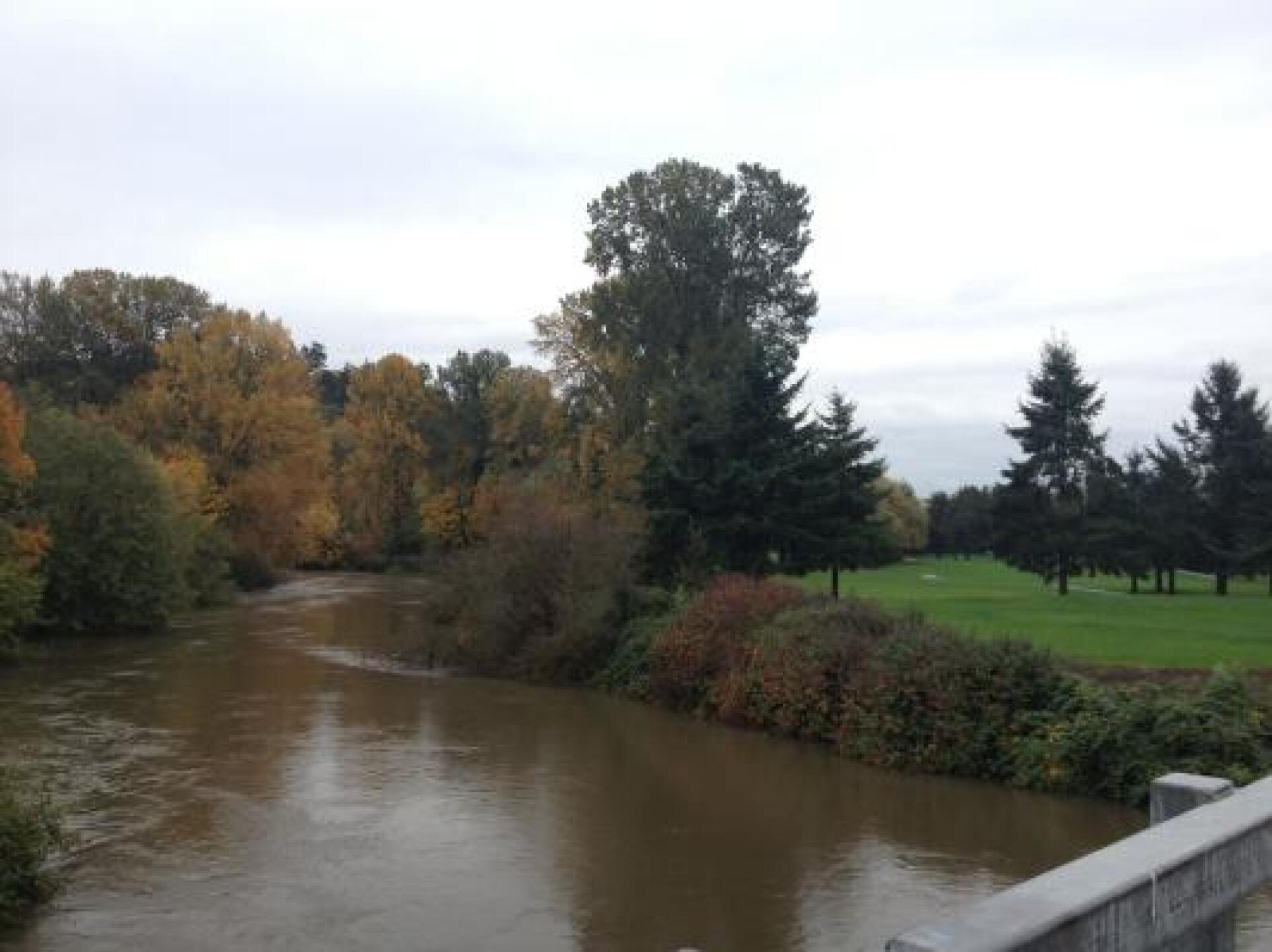 The green river splitting a 125 yard par 3. (Photo submitted by Spencer3502694 on 11/01/2012)