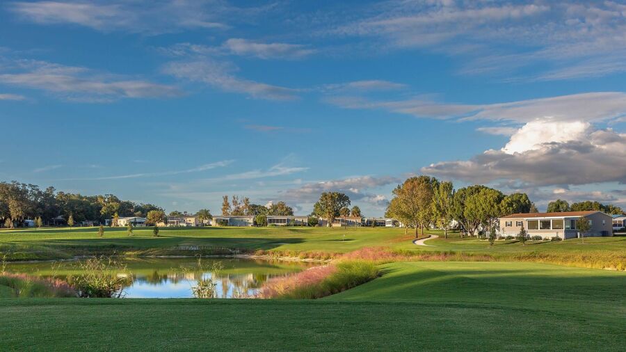 Water Oak GC: #12