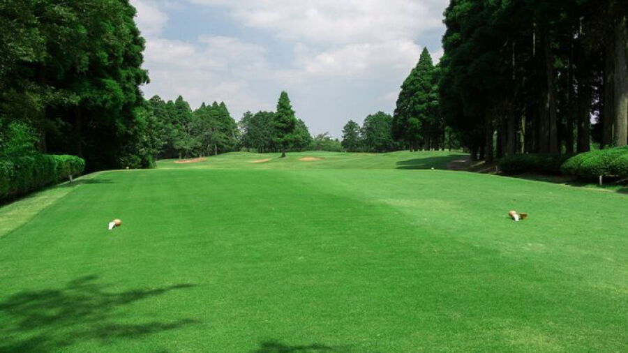 Chiba Kokusai CC - Sakura West: #6