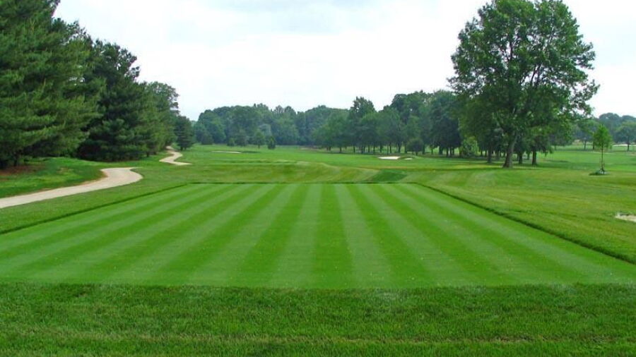 DuPont CC