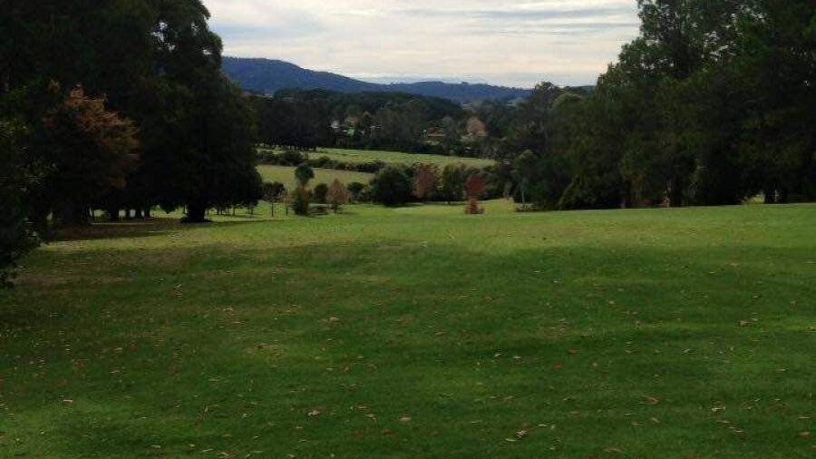 Dorrigo GC