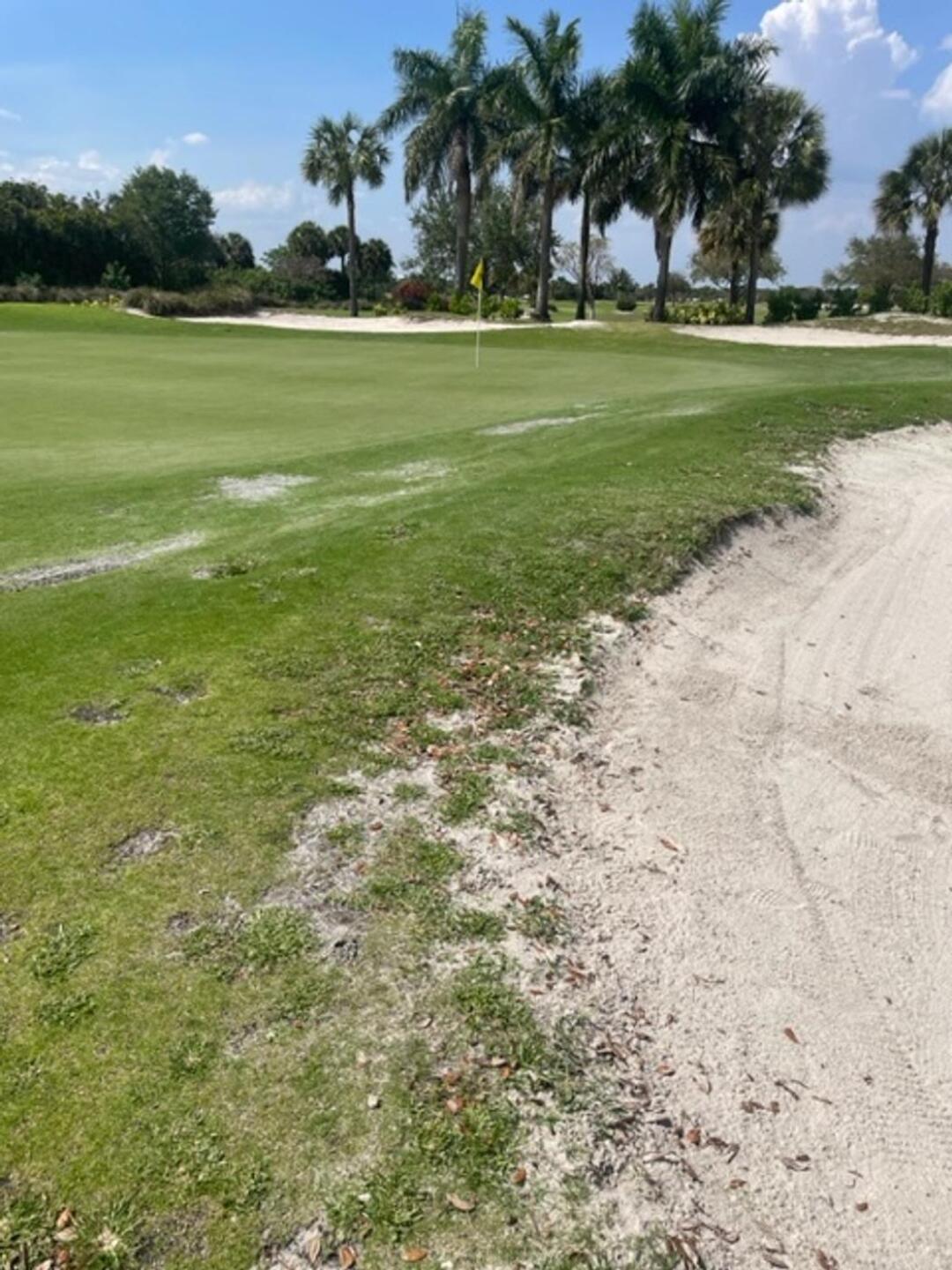 (Photo submitted by u079326129 on 03/07/2023)