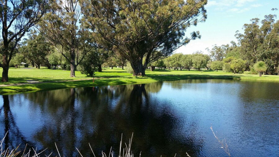 Pinjarra GC